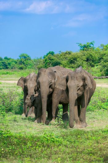 Sunset in the mountains