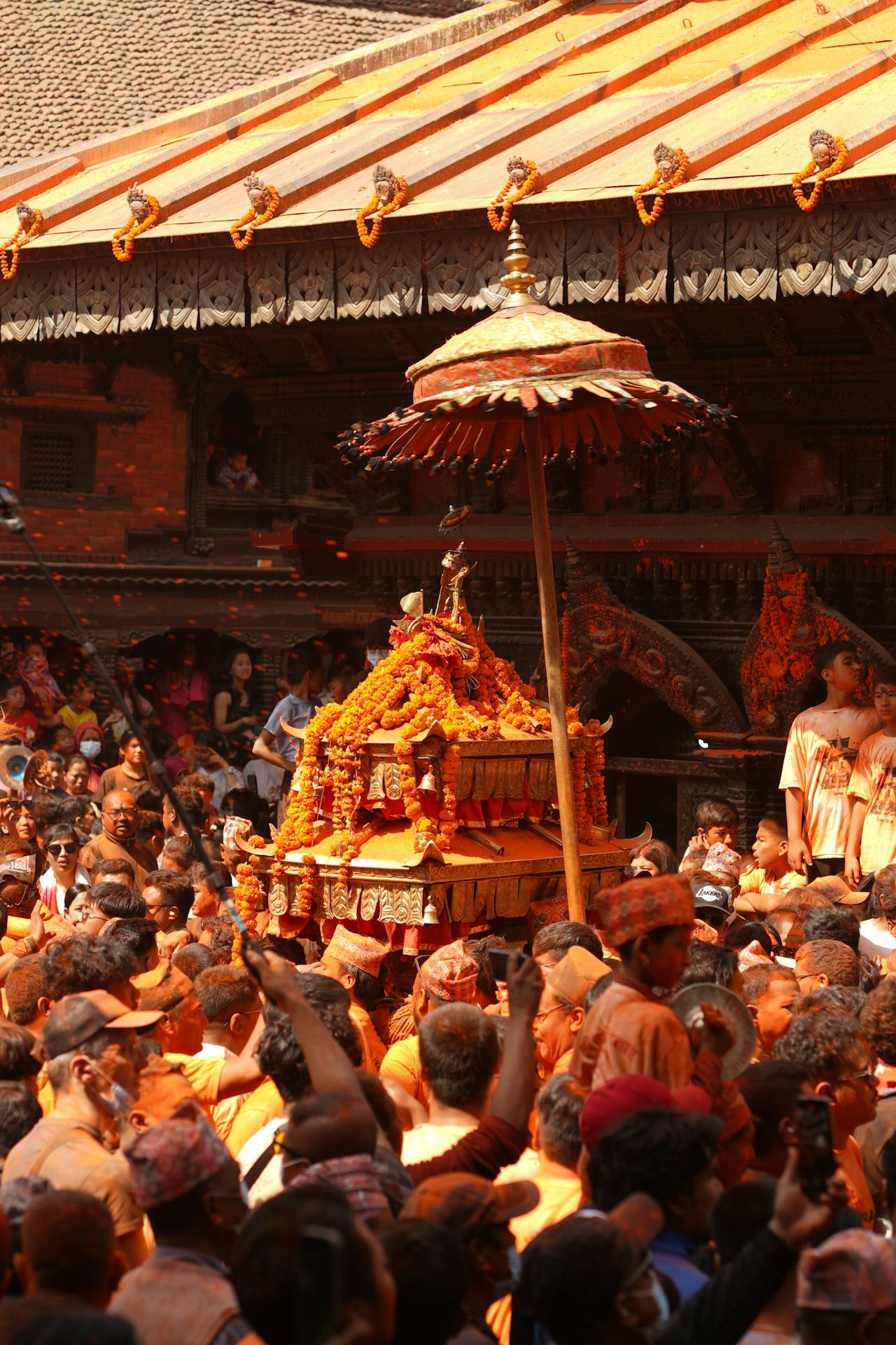 Local Life & Wellness