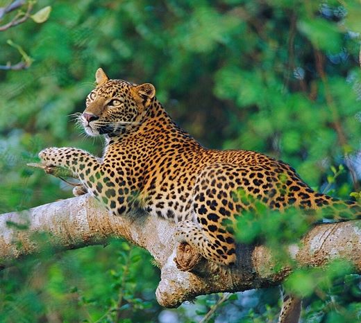 Wildlife & Adventure